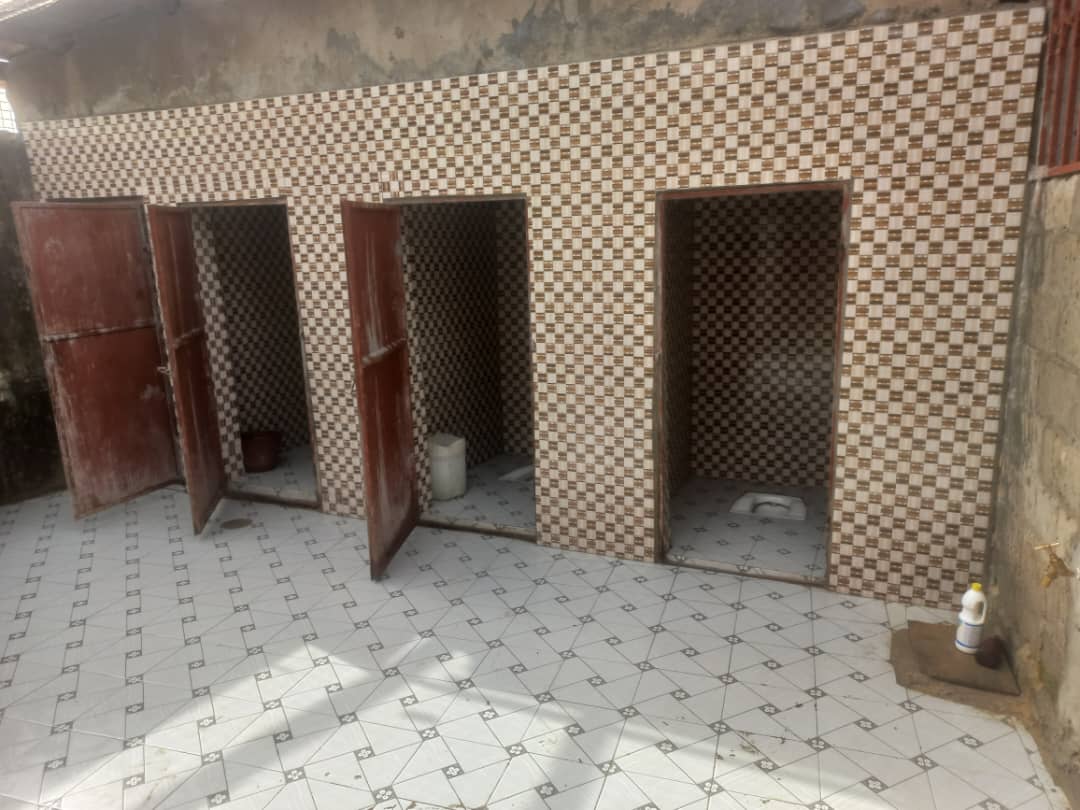 Toilet Project photo 6